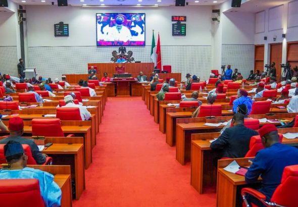 Nigerian-Senate